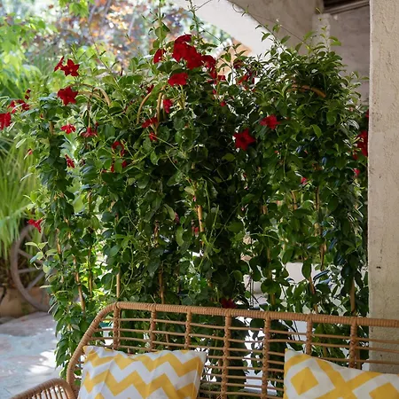 Apartamento La Ferme Saint-antoine Gassin